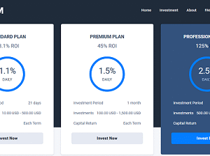 Investorm – Advanced HYIP Investment Management Platform